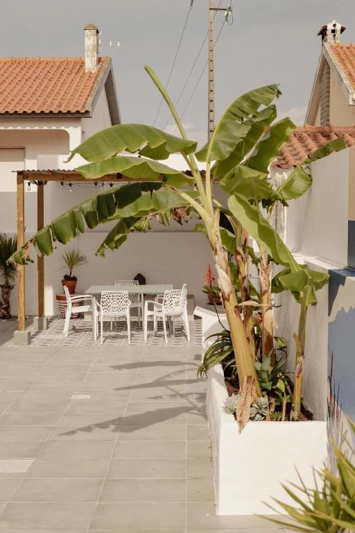 Sunlit courtyard with banana plants and outdoor dining at SUPERTUBOS HOUSE Peniche